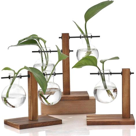 WUWEOT 3er Set Hydroponik Glasvase Holz Halter Vintage Deko Büro Garten (1/5)