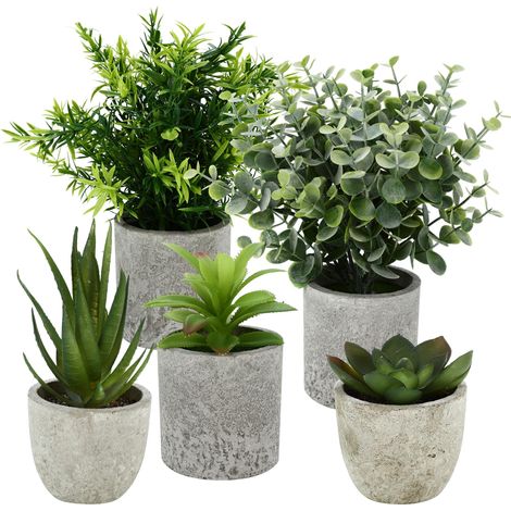 5 Pieces Plantes Artificielle, Mini Plantes artificielles Interieur Serpentine, Agave succulentes, Griffe d'aigle Aloe Vera, pour Chambre Bureau Decoration (Couleur d'origine) (1/5)