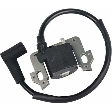 Module de Bobine D'allumage compatible avec Honda GCV135 GCV160 GCV190 GSV160 Lefou (1/5)