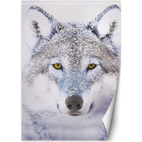 Fototapete Porträt Wolfes im Winter 100x140 cm (1/5)