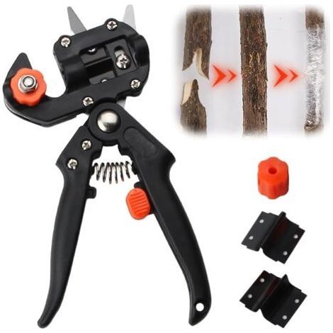 PA Ciseaux de greffe professionnels, ciseaux de jardinage, pinces de greffe d'arbres, kit de greffe de jardin pour vigne de brindilles d'arbres fruitiers (1/4)