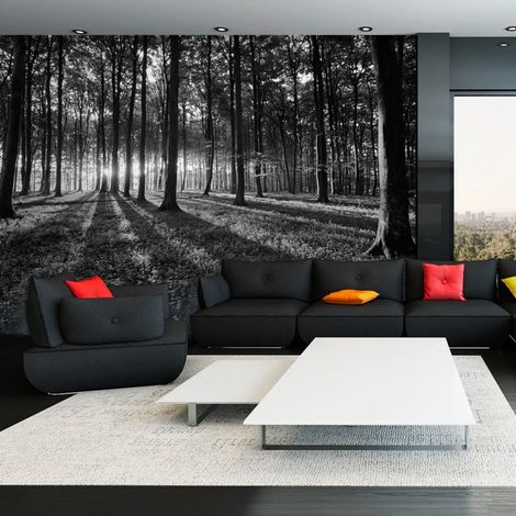 Papier peint la lumière dans la forêt - 200 x 140 cm (1/4)