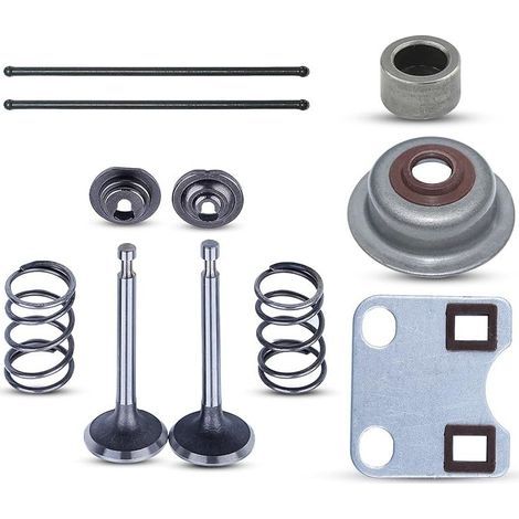 Kit de Capuchon de Protection de Tige de Tige de Poussoir pour Plaque de soupape pour pièce de Moteur de Tondeuse à Gazon Honda GX160 GX200 5.5HP 6.5HP Remplacer 14791-ZE1-010. (1/5)