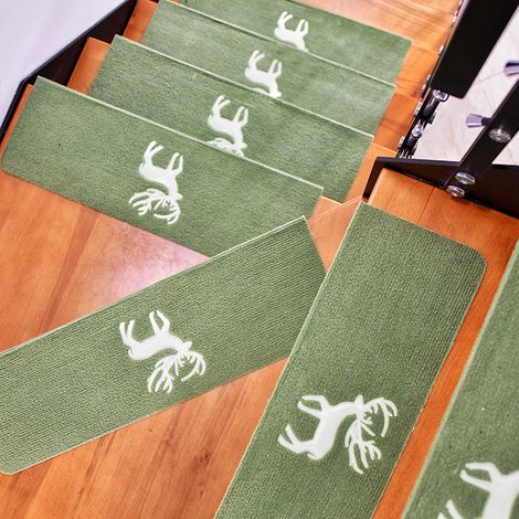 Lot de 5 tapis d'escalier verts, 70 x 22 x 4,5 cm, autocollants, adaptés aux animaux domestiques, antidérapants, de sécurité . (1/5)