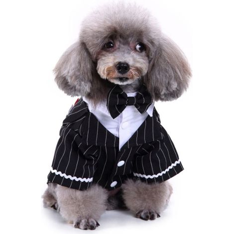 Costume noir pour chien avec nœud papillon, chemise de smoking habillée pour chiot, costume de mariée sombre pour chat, vêtements de mariage de prince, XL (1/5)