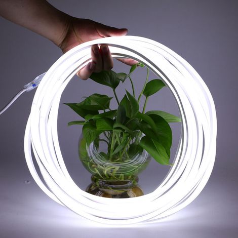 royaluxe -Bande LED 5M Zone Extérie, BAGZY Bande Néon Étanche 220V Extérie LED/M Bande Lumineuse Flexible DIY pour Décoration Extérie de Fête de Noël Intérie, avec Alimentation et Contrôl (1/5)