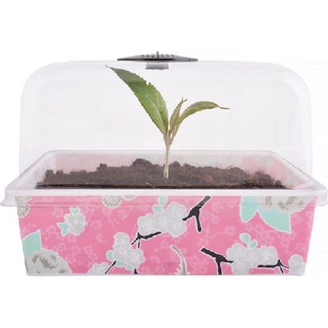3-er Set Blumentopf 22x17x15 cm Jet-Line Anzucht Topf
