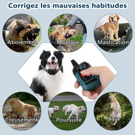 Collier de Dressage pour Chien avec Télécommande - Rechargeable et Humain : 4 Modes de Correction (Bip, Vibration, Spray, Spray Renforcé), Étanche IP67 avec Verrouillage Sécurité - Vert Foncé (1/4)