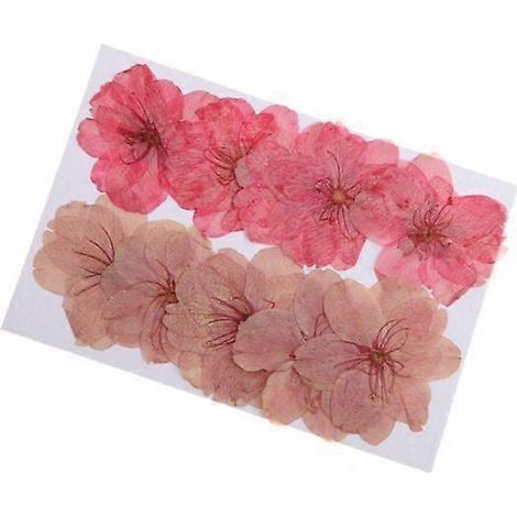 Fleurs de cerisier Sakura séchées et pressées couleurs assorties (4 à 200 pièces) - Lot de 4 (1/5)