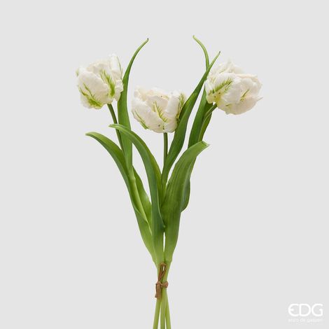 EDG Enzo De Gasperi Bouquete Tulipano Parrot X3 H 40 Cm con Bocciolo Bianco