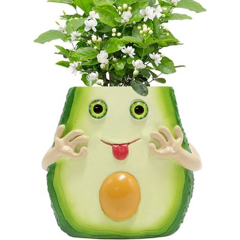 Avocat Formpflanzentopf Niedlicher Kaktushalter Kleine Harz (1/5)