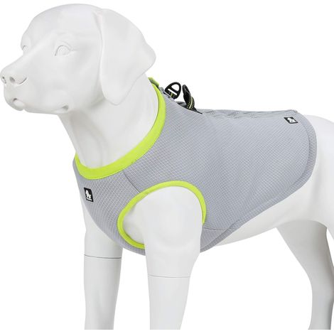 Veste de Refroidissement pour Chien Gilet Fraîcheur Réglable et Respirant avec Attache Laisse pour Chien en Été (1/5)