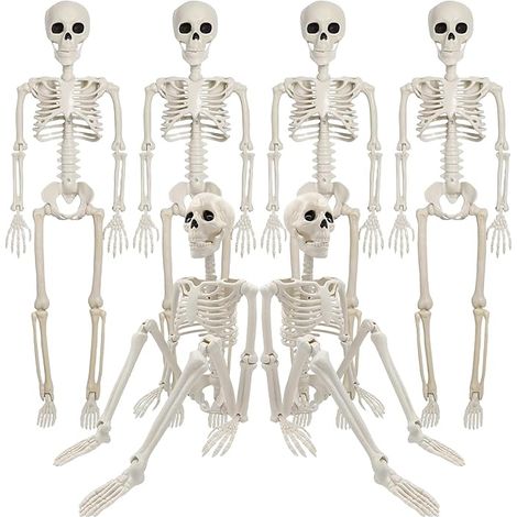 Halloween Skeleton 6 Pieces Realistic Plastic Human Skeleton Full Body Skull with Movable Joints for Halloween Party Haunted House (1/5)