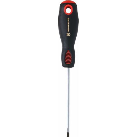 Schlitzschraubendreher für Mechaniker 3x75 DRAKKAR TOOLS - 13260