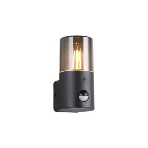 Applique exterieure hoosic detecteur de mouvement e27 ip44 noir mat abat jour fume - trio lighting (1/3)
