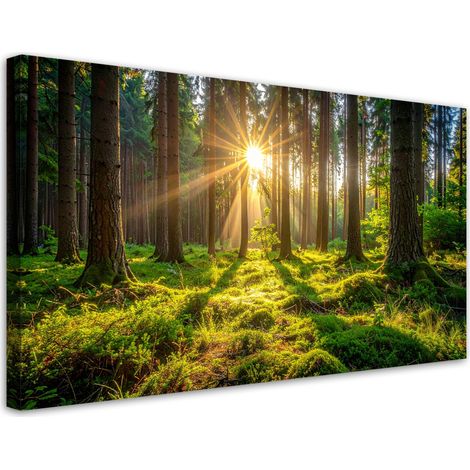 Impresión de Imagen, Bosque árboles amanecer, 120x60 (1/5)