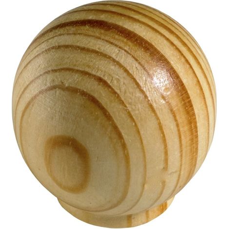 Hettich Möbelknopf Kiefer lackiert Ø 35,0 x 36,0 mm - 1 Stück Möbelgriff