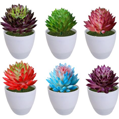 Succulenten Artificielles - 6 Pièces Lot de Plantes Grasses Simulées en PVC PE - Décoration Intérieure Extérieure - Pour Pot, Guirlande, Contenant Verre - Lot de 6 (1/5)