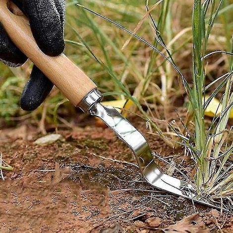 Outils de jardinage et de désherbage en acier inoxydable - Désherbeur et bouturage - Idée cadeau idéale - Style A (1/4)