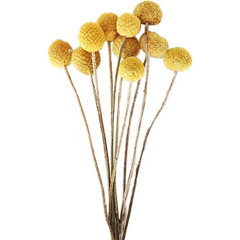 Artificial Dried Pampas Grass Plastic Simulation Reed for Wedding Home Decoration (1/5)