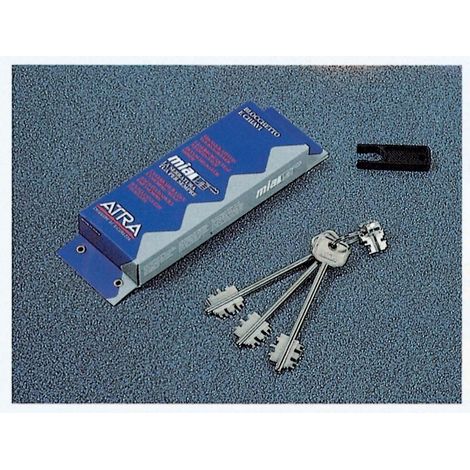 Atra cilindro blocchetto antifurto art.bl 03210 per serrature di sicurezza atra - Salone