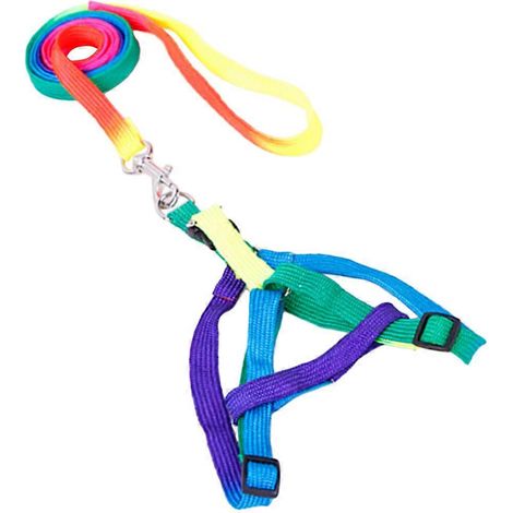Cuerda de tracción para mascotas, arnés de nailon ajustable para cachorros con correa, diseño colorido, 1,0 cm. (1/5)