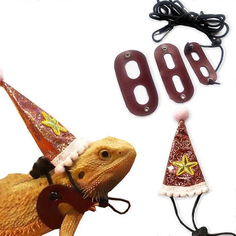 Harnais et laisse réglables pour dragon barbu, lézard et petits animaux de compagnie - Chapeau - corde de traction - Rose (1/4)