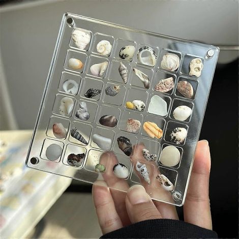 2PCS Boîte de rangement magnétique transparente en acrylique à 36 compartiments pour coquillages (1/5)