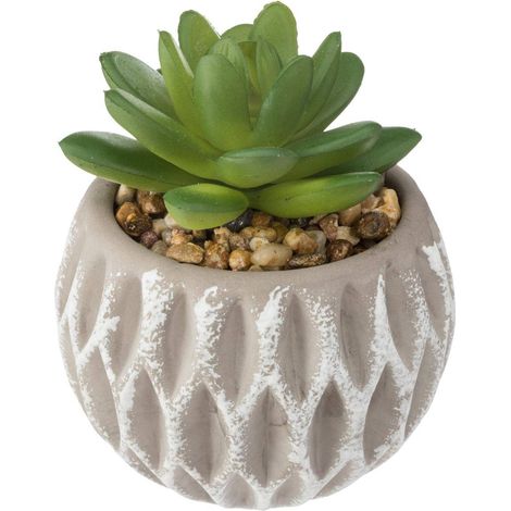 Atmosphera – Plante verte artificielle succulente en pot ciment D 8 x H 9 cm – Motifs en relief – Décoration intérieure exotique