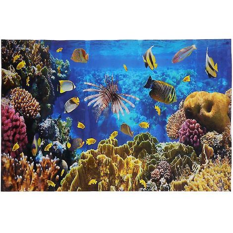 1 fond d'aquarium (1/3)