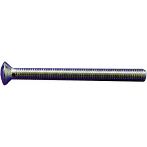 Talg-Tropfenschraube 6 x 55 mm TECNOAGUA T505-50929