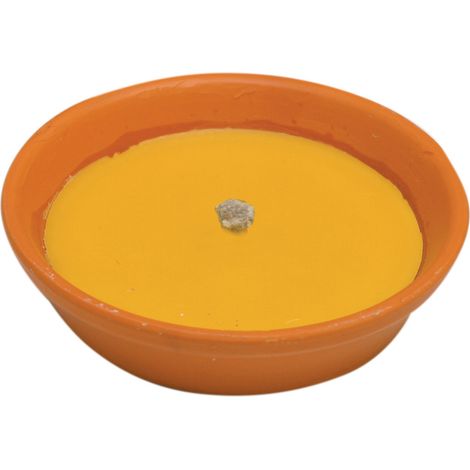 CITRONELLA IN COCCIO ANTIVENTO D 11 CM- 53,0 pz