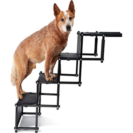 Escalier pour Chien Petit ou Grand pour Voiture 4 Marches Haloyo®,Rampe d'accès Pliable pour Voiture et SUV,pour Grands Chiens,noir (1/5)
