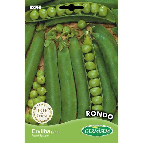 Rondo Graines de Pois 100 g XXL 5 Multicolore (1/2)