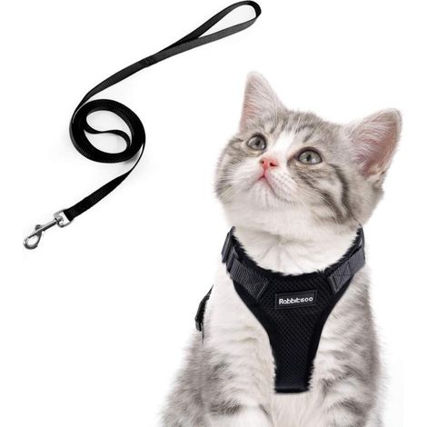 1 Harnais, Laisse réglable, Nylon noir, Boucles latérales, Anneau métallique, Chaton et petit chien (1/5)