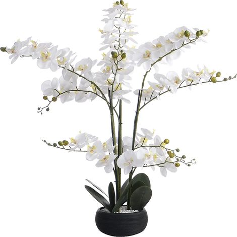 Pianta artificiale orchidea H.65 x L.54 cm con vaso in Cemento Bianco - TARA (1/5)
