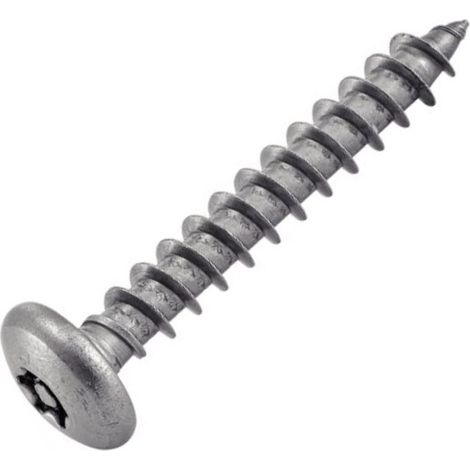 Vis Tôle Inviolable Tête Bombée Torx + Téton 4.2X38 Inox (1/2)