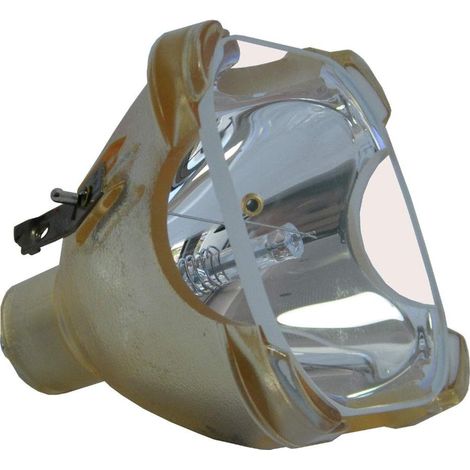 BLB44 Ersatzlampe – 1 Stück – UHP-Glas, 200 W – Projektion mit hoher Helligkeit – Für P22-kompatible Projektoren – Ohne Gehäuse (1/5)