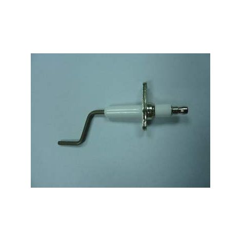 Electrodo de Ionización