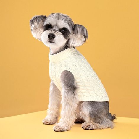Jersey para perro, Cuello alto suave para cachorros, Abrigo para perro, Ropa de punto, Jersey liso para perro, Talla XL, Gris oscuro (1/5)