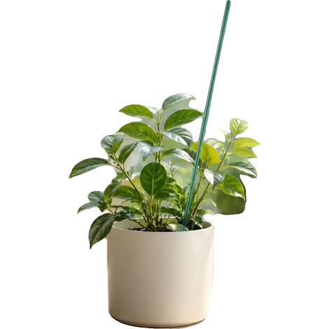 Soportes para plantas, construcción metálica duradera, no requiere montaje, ecológico (1/2)