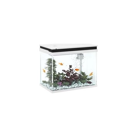 Aquarium en verre de 41 litres, avec système de filtration, lumières, LED, pompe à eau, pour différents types de poissons, blanc