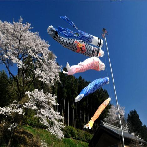 Bluelover 1 Set 5Pcs Japonais Drapeau Carp Carp Bannières Windsock Sailfish Koinobori Vent Streamer Muticolor Poisson (1/5)
