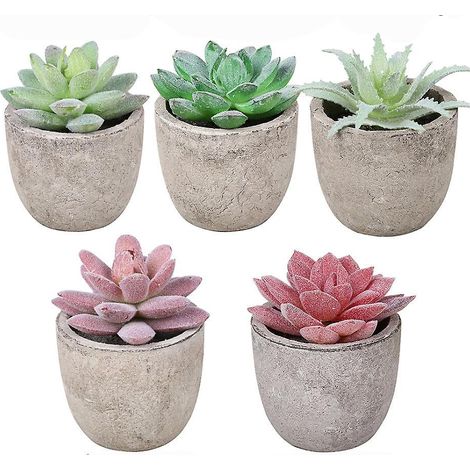 5pcs Succulentes Artificielles En Pot, Succulentes Artificielles Vertes Pour Le Bureau, Le Salon Et La Dcoration De La Maison (1/5)