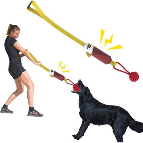 Jouet à tirer à la corde, jouet à mâcher interactif pour chien avec poignées robustes, jouet à tirer durable et couineur pour chiens de petite, moyenne et grande taille