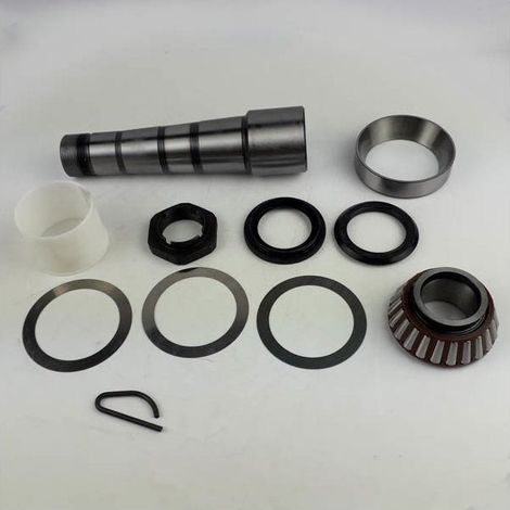 Kit de reparación pivot Volvo Renault  20590486S, 7420590486S (1/4)