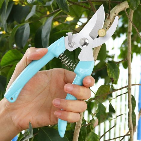 Secateurs De Jardin - Lames En Acier Inoxydable - Poignées Ergonomiques Antidérapantes - Pour Taille De Plantes, Herbes Et Bonsaïs - 1 Pièce (1/5)