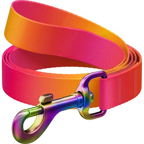 Correa para perros WAUDOG de nailon degradado, 15 mm de ancho, 122 cm de largo, color naranja.
