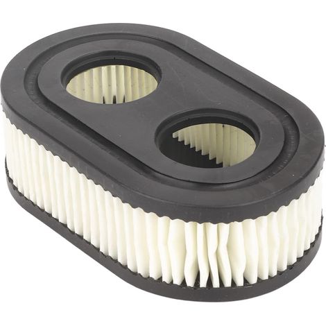 Filtre à Air pour Tondeuse à Gazon MB 448.1 T, RM448, RM443, Filtre D'admission de Moteur (1/5)