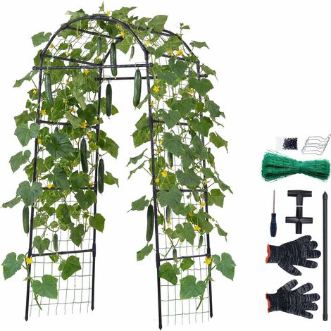 Mophorn Treillis en arche pour jardin, structure métallique pour plantes grimpantes, pour vignes, pois, haricots, courgettes, tomates et fleurs, revêtement en plastique PE, dimensions 81,3x80x205 cm (1/5)
